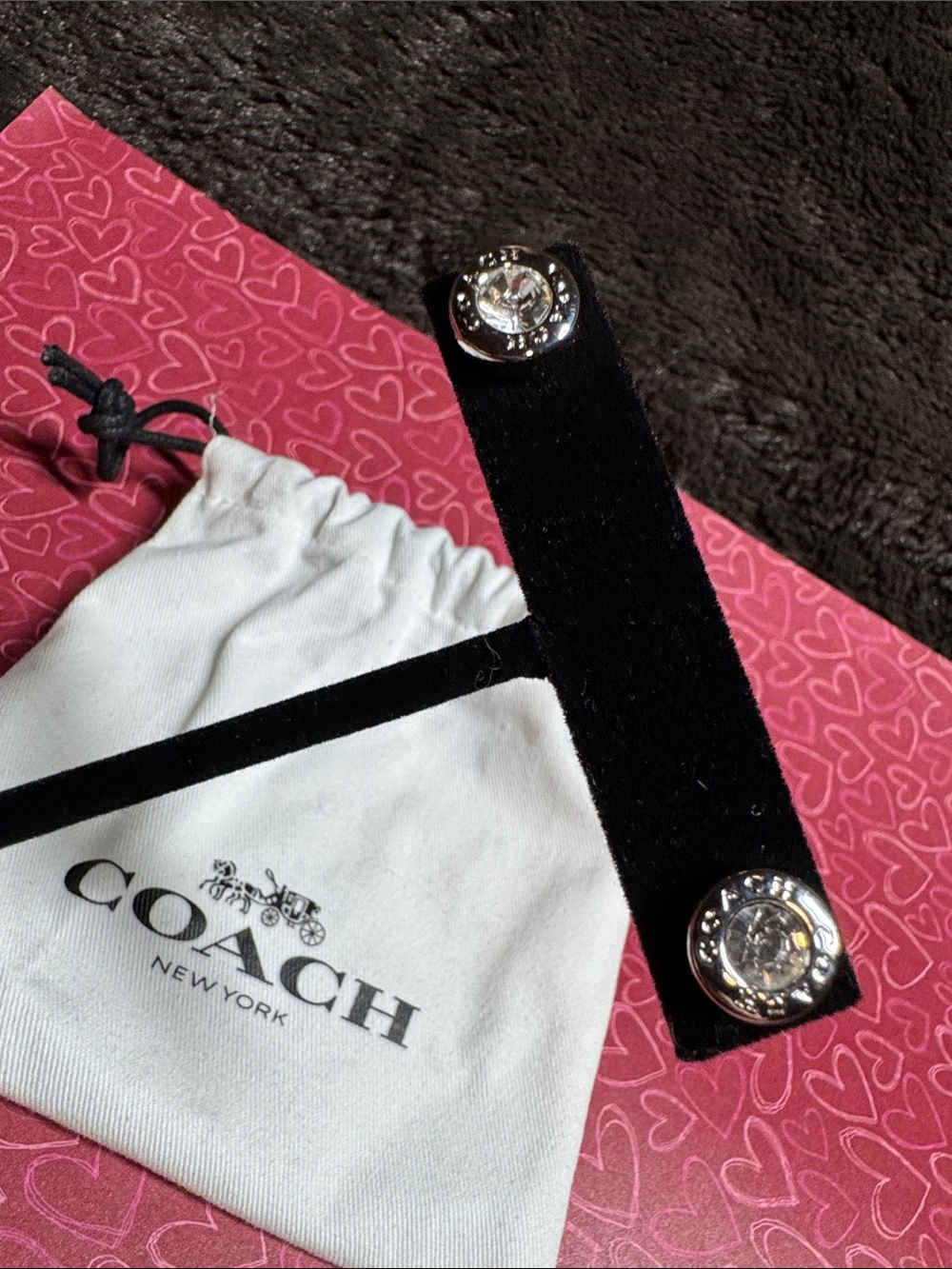 Coach Silver-Tone Crystal Center Stud Earrings with Drawstring Bag - Picture 6 of 9